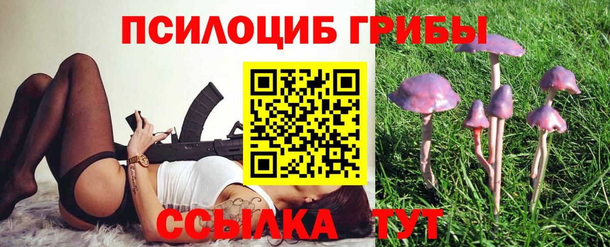 купить   Галлюциногенные грибы мицелий  Новый Уренгой  Вход с VPN  Псилоцибиновые грибы Cubensis 